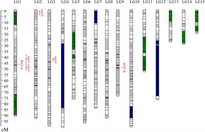 A Resequencing-Based Ultradense Genetic Map of Hericium erinaceus for Anchoring Genome Sequences and Identifying Genetic Loci Associated With Monokaryon Growth